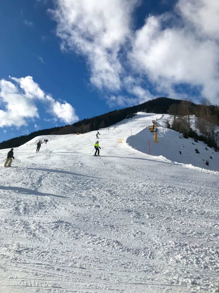 Südhang in der Mittagssonne